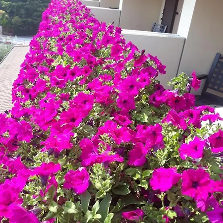 Da Roberto Отель Лацизе