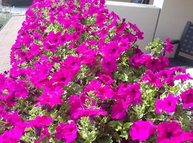 Da Roberto Hotel Lazise